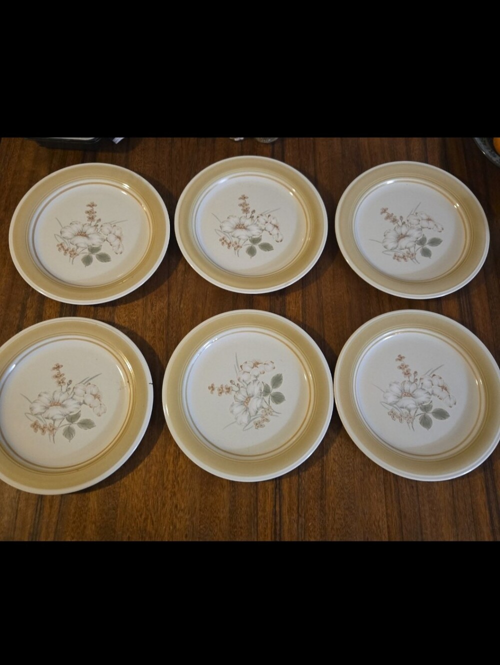 Vintage Impressions Dinner Plates